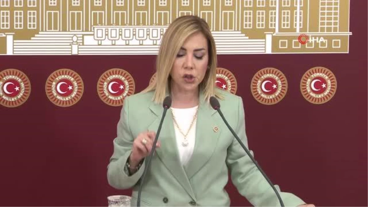 AK Parti Muğla Milletvekili Yelda Erol Gökcan, Akşener\'in otel inşaatına ilişkin açıklamalarına cevap verdi