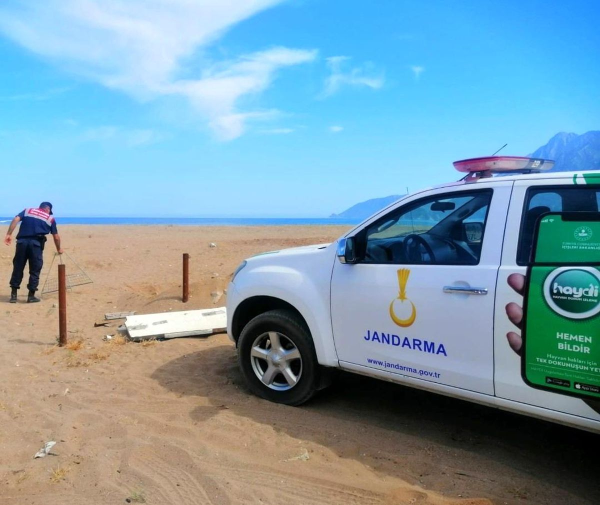 Carettaların yuvalama alanına araçla girdi