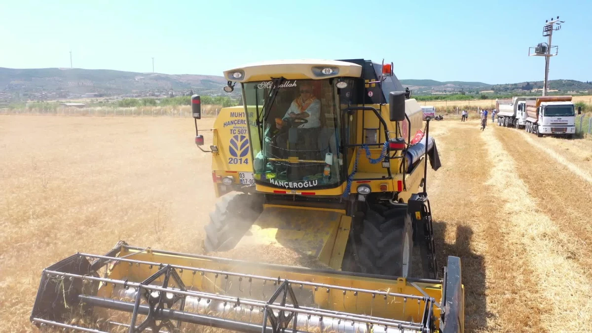Didim Belediye Başkanı Atabay\'dan İlk Buğday Hasadı