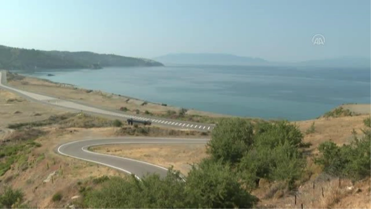 Efes-2022 Birleşik Müşterek Fiili Atışlı Arazi Tatbikatı\'nın seçkin gözlemci günü başladı (2)
