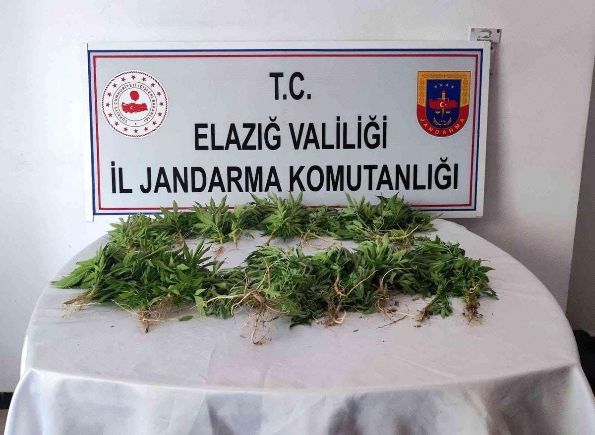 Elazığ\'da uyuşturucu operasyonu