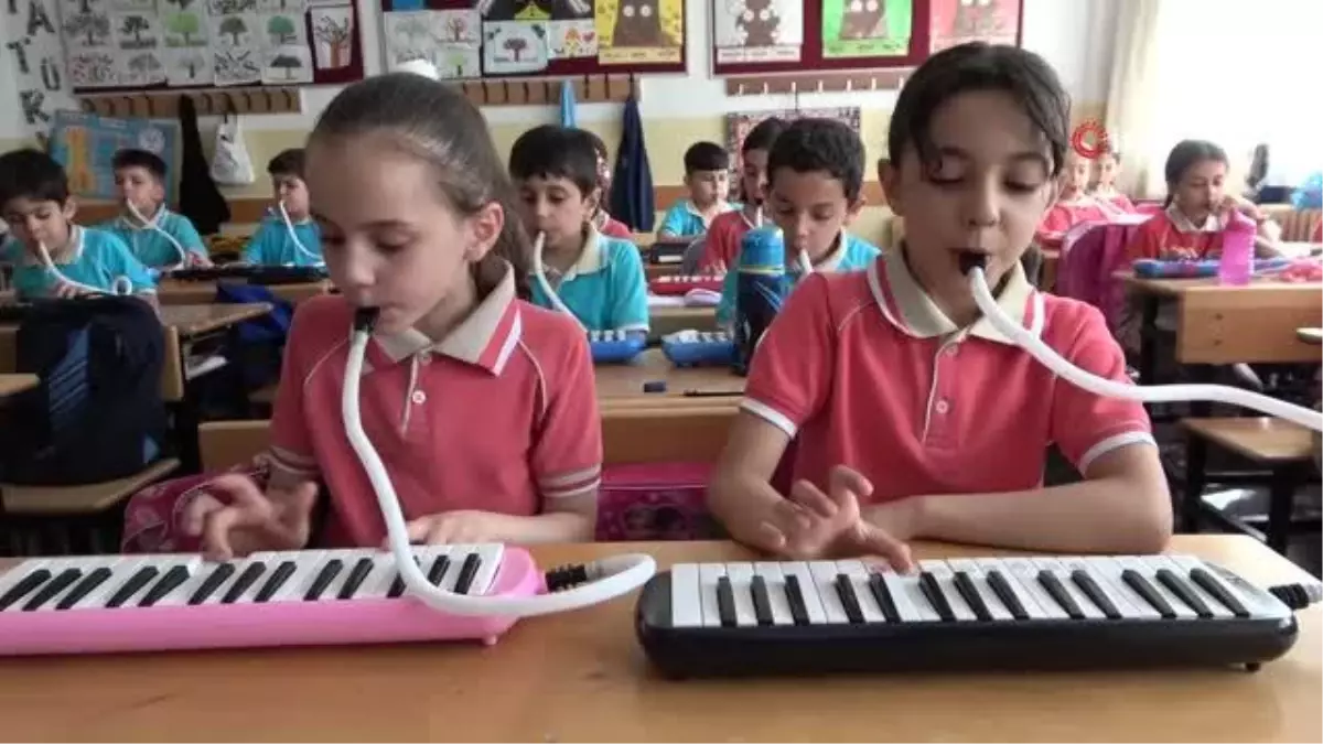 Her şey bir örgü ile başladı