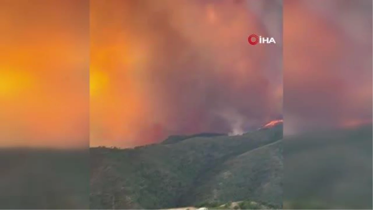İspanya\'da orman yangını: 3 yaralı