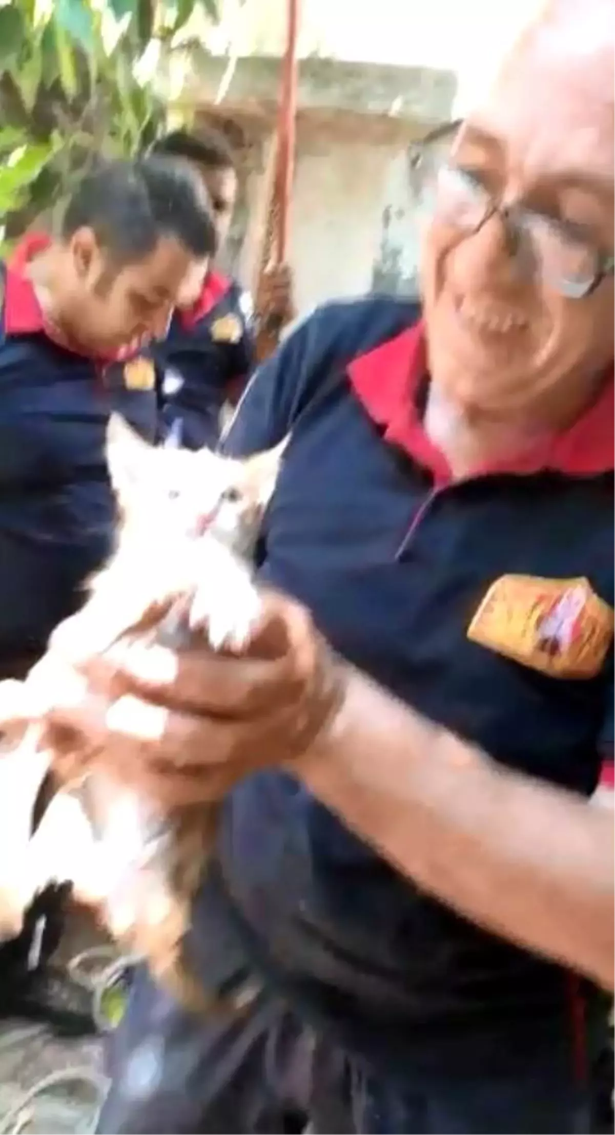 Su kuyusuna düşen kedi kurtarıldı