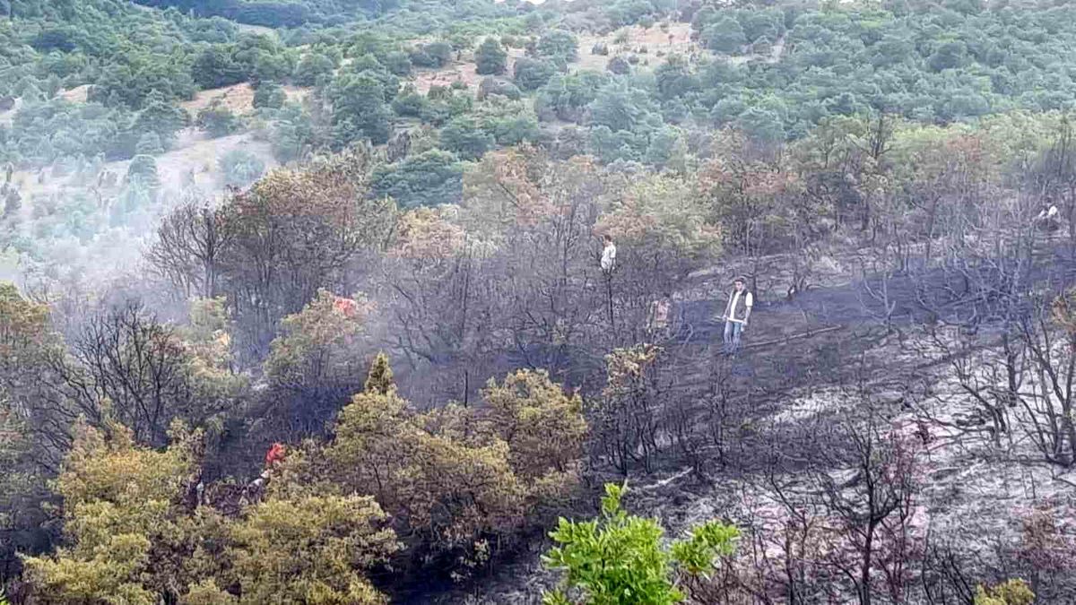 Pazaryeri ilçesinde orman yangını