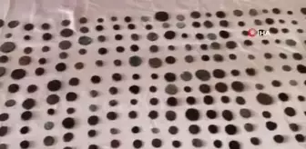 Tarihi eserleri satmak üzere müşteri arayan 2 kişi suçüstü yakalandı