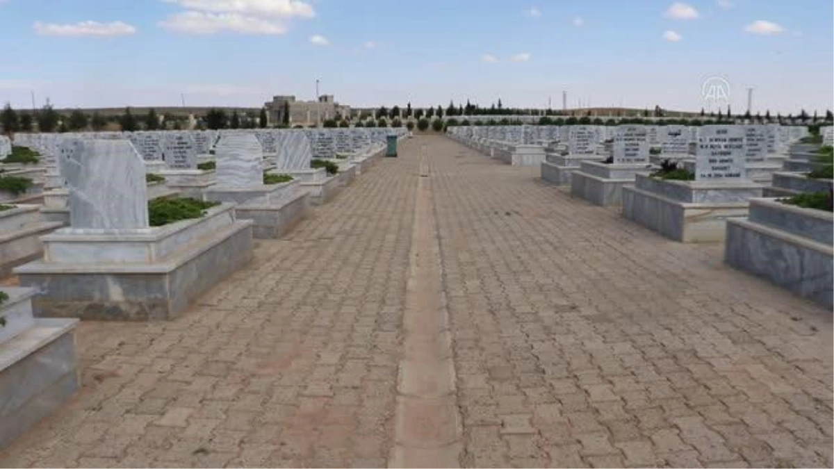 Aynularab\'daki mezar taşları, YPG/PKK\'nın çocukları kullandığını belgeliyor