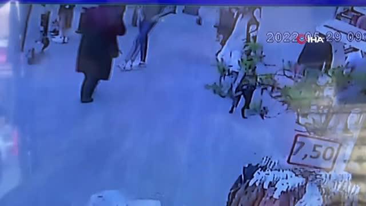 Fatih\'te köpeğe eziyet eden kişiye linç girişimi