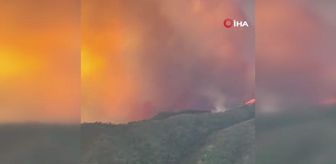 İspanya'daki orman yangınında 2 bin hektarlık alan kül oldu