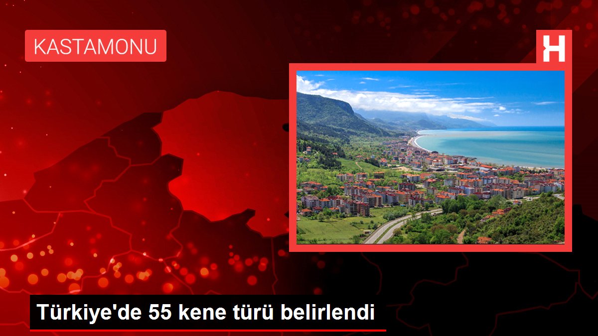 Türkiye'de 55 kene türü belirlendi