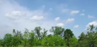 Ukrayna'da havan mermisi, AA kamerasının yakınına düştü