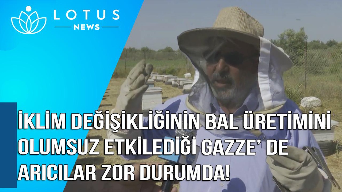 Video: İklim Değişikliğinin Bal Üretimini Olumsuz Etkilediği Gazze\'de Arıcılar Zor Durumda