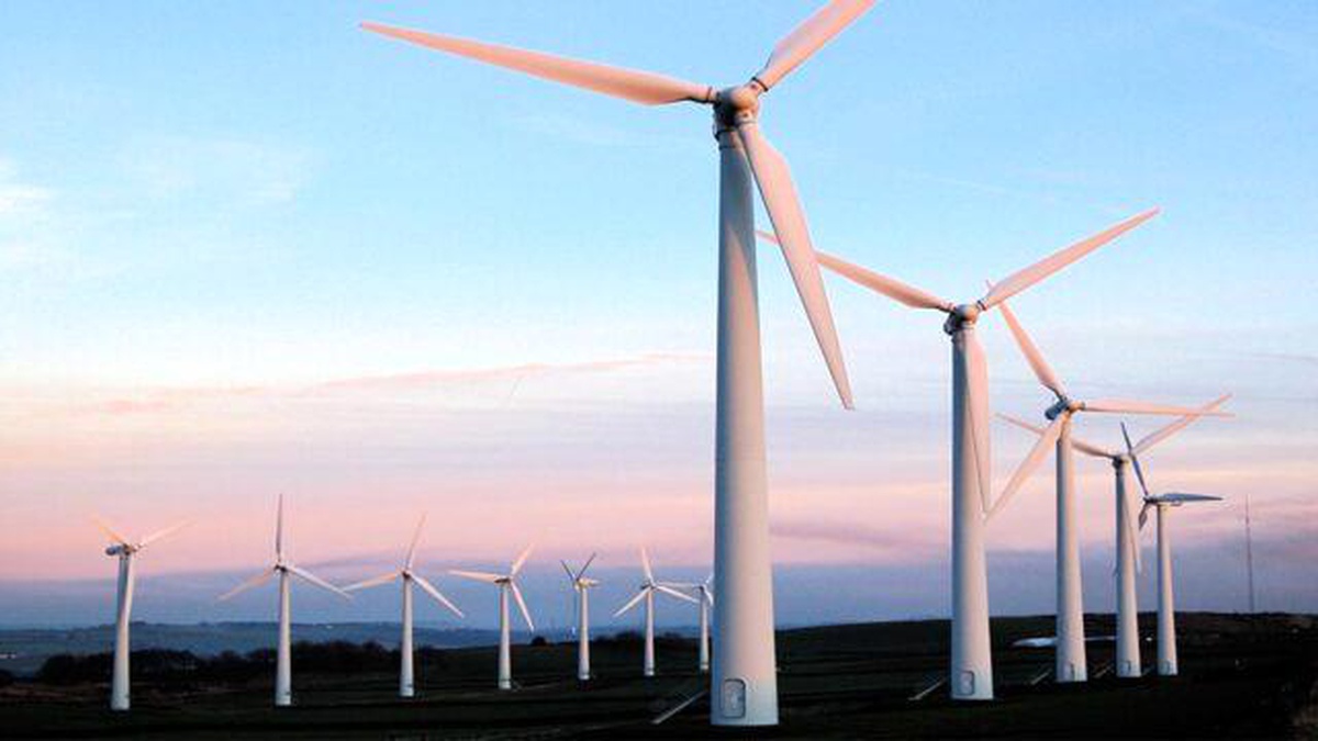 Yenilenebilir enerji sanıldığı kadar çevreci değil