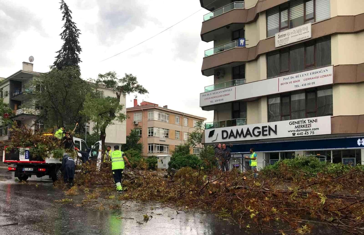 Ankara\'da etkili olan fırtına ağaçların devrilmesine neden oldu