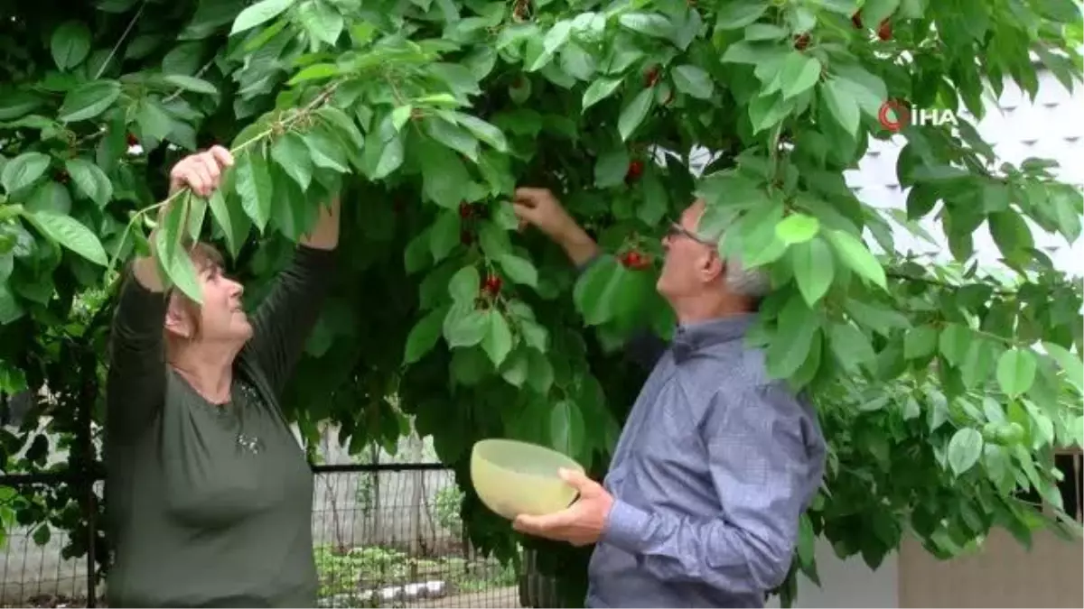 Bulgaristan\'ın zulmünden kaçıp hayata Türkiye\'de sarıldılar... Göçe zorlanan Bulgaristan Türkü çift yaşadıkları o günleri İHA\'ya anlattı