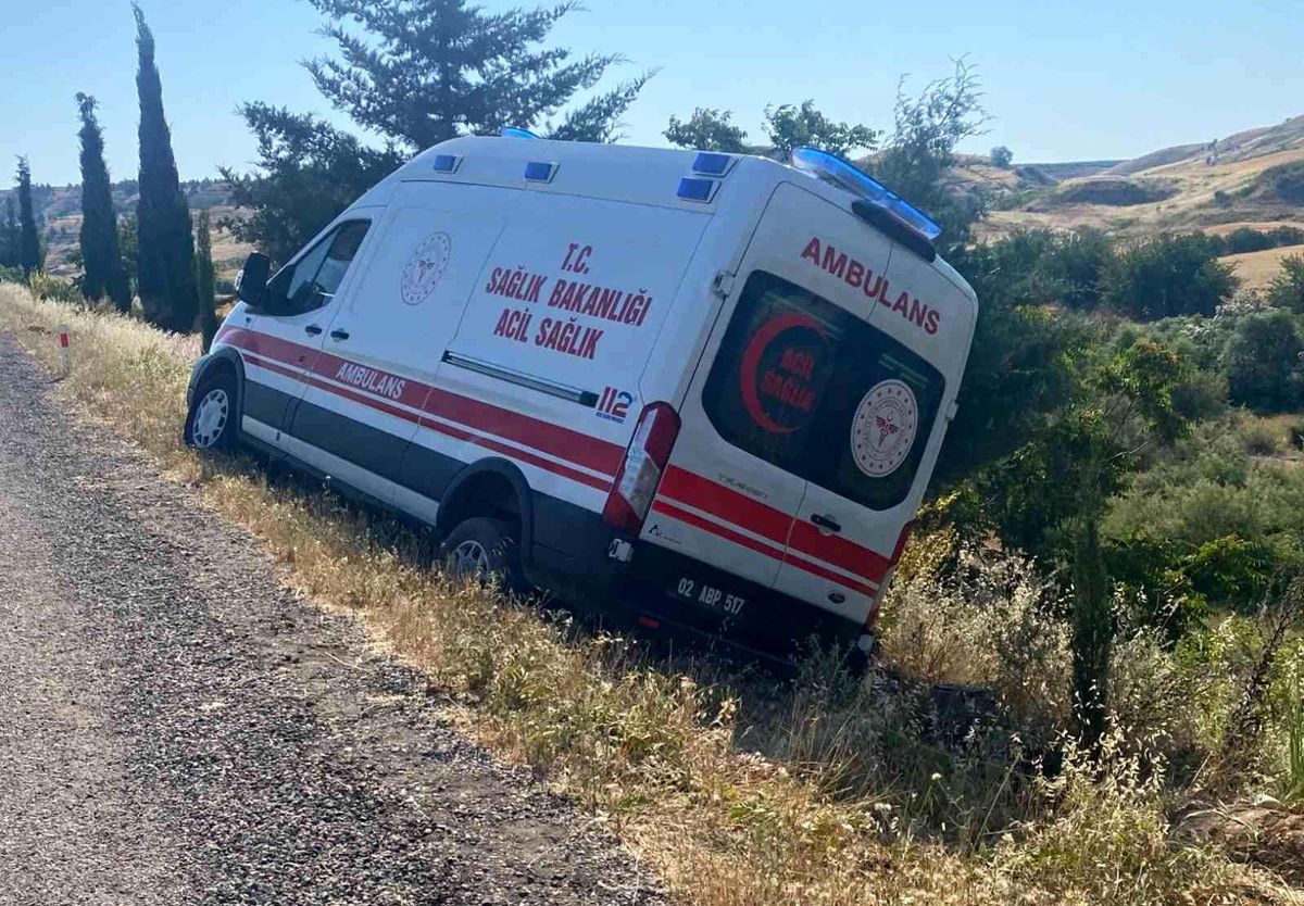 Domuza çarpmamak isterken şarampole çıktı