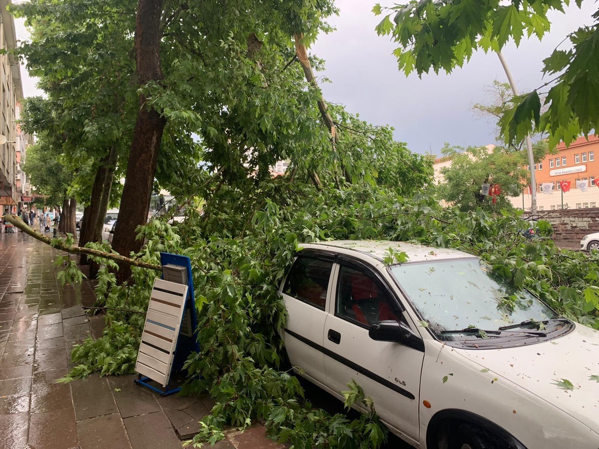 Fırtınada devrilen ağaç iki otomobilin üzerine düştü