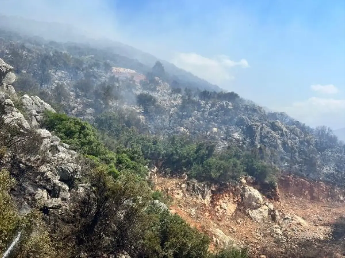 Kaş\'ta makilik yangını (3)