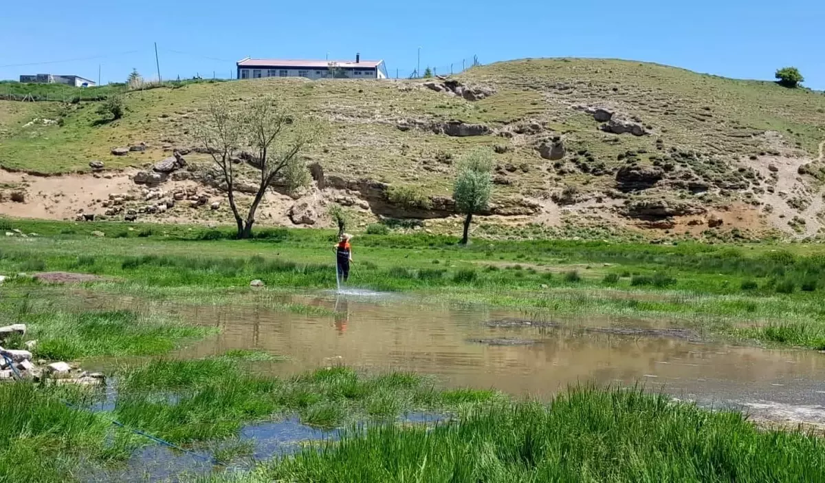 Tatvan\'da ilaçlama ekipleri iş başında