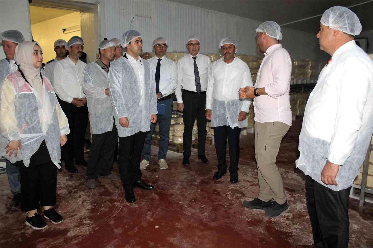 Vali Şıldak Manyas'ta çeşitli incelemeler de bulundu