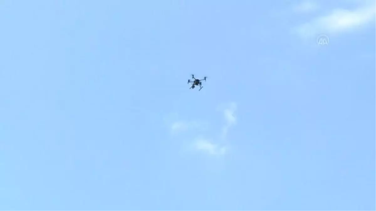 AFAD, JAK ve itfaiye ekiplerinin Tatlar Deresi ve çevresinde çalışmaları devam ediyor (5)