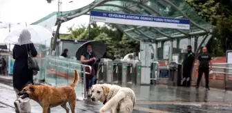 Sağanak aralıklarla devam ediyor