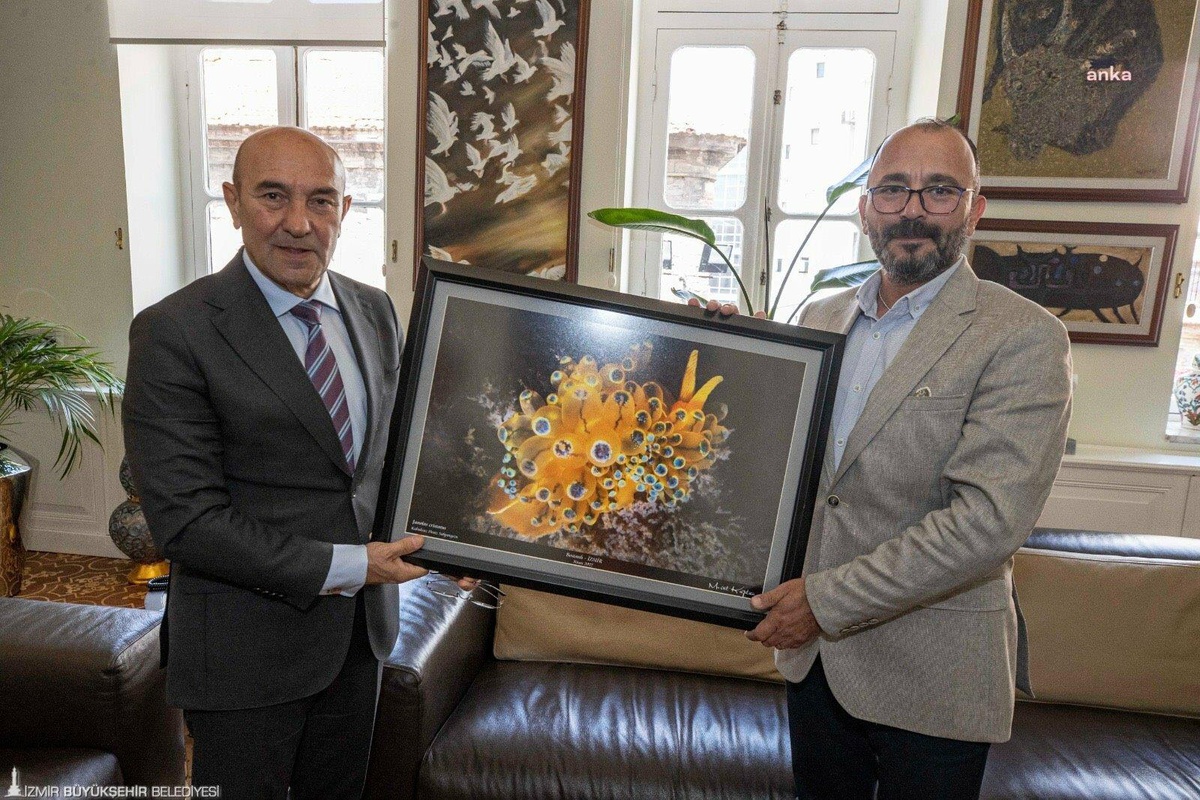 İzmir Körfezi\'nde Kabuksuz Deniz Salyangozu Görüldü. "Körfez Yeniden Hayata Dönüyor"
