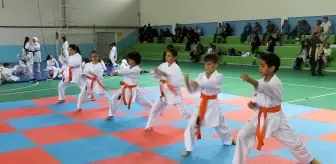 Karateciler kuşak sınavında ter döktü