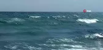 Rip akıntısına kapılan vatandaş kurtarıldı