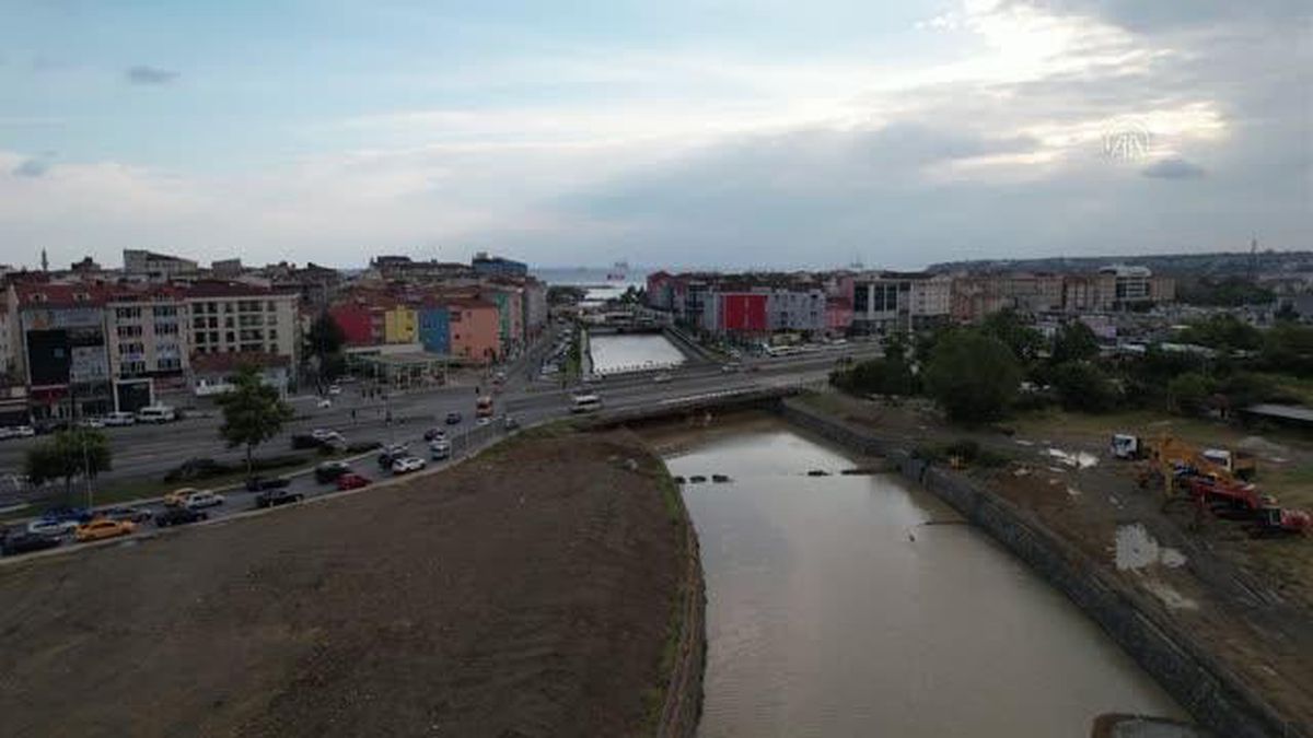 Silivri'deki Boğluca Deresi'nde toplu balık ölümlerinin nedeni araştırılıyor