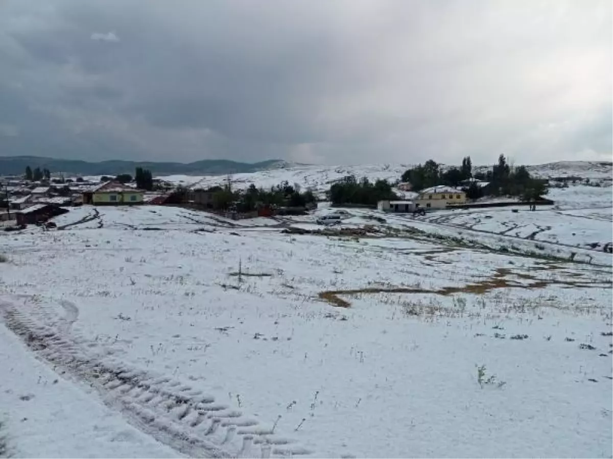 Yozgat\'ta dolu yağışıyla zemin beyaza büründü