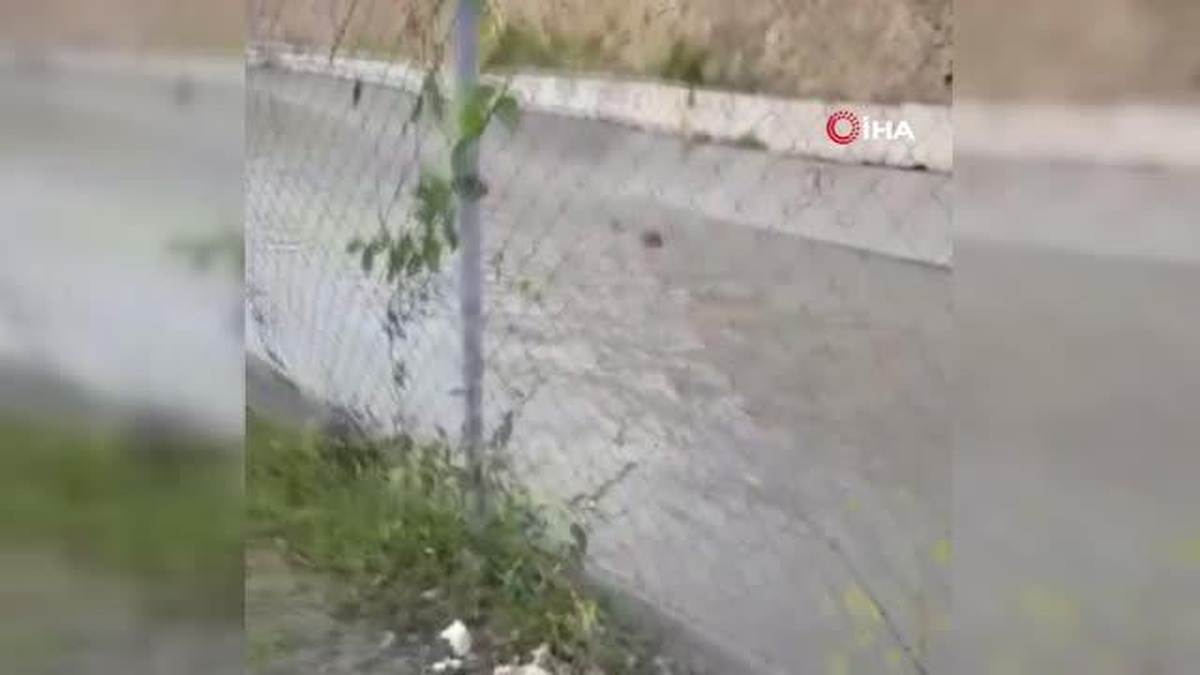 Bazı bölgelerine çit tel çekilmeyen su kanalı köylülerin korkulu rüyası oldu