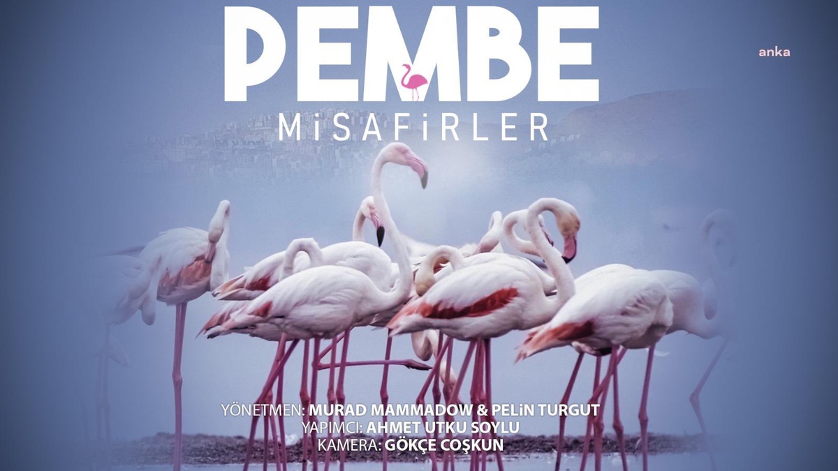 Çiğli\'nin pembe misafirleri 10 festivalde ödüle aday