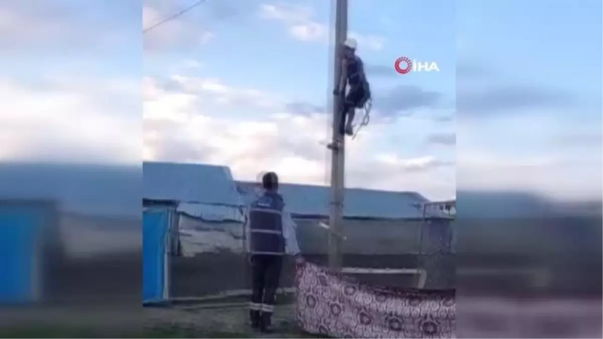 Elektrik direğinde mahsur kalan kediyi ekipler kurtardı