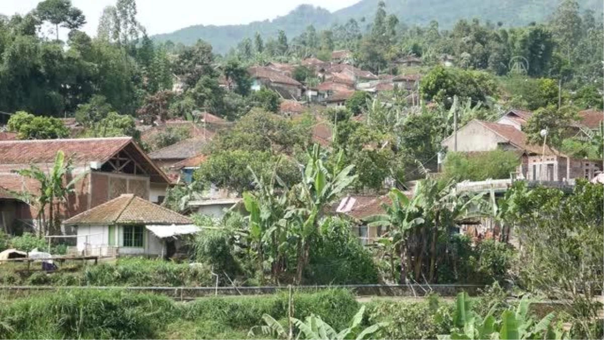 Endonezya'nın Ciburuy köyünde yaşayan albinolar