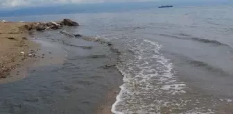 İzmit Körfezi siyaha büründü