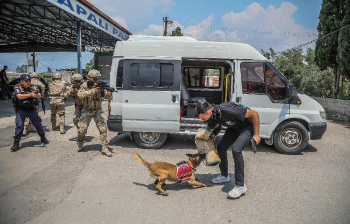 Jandarma köpeği \'Kadro\', hassas burnuyla kundaklamayı tespit ediyor