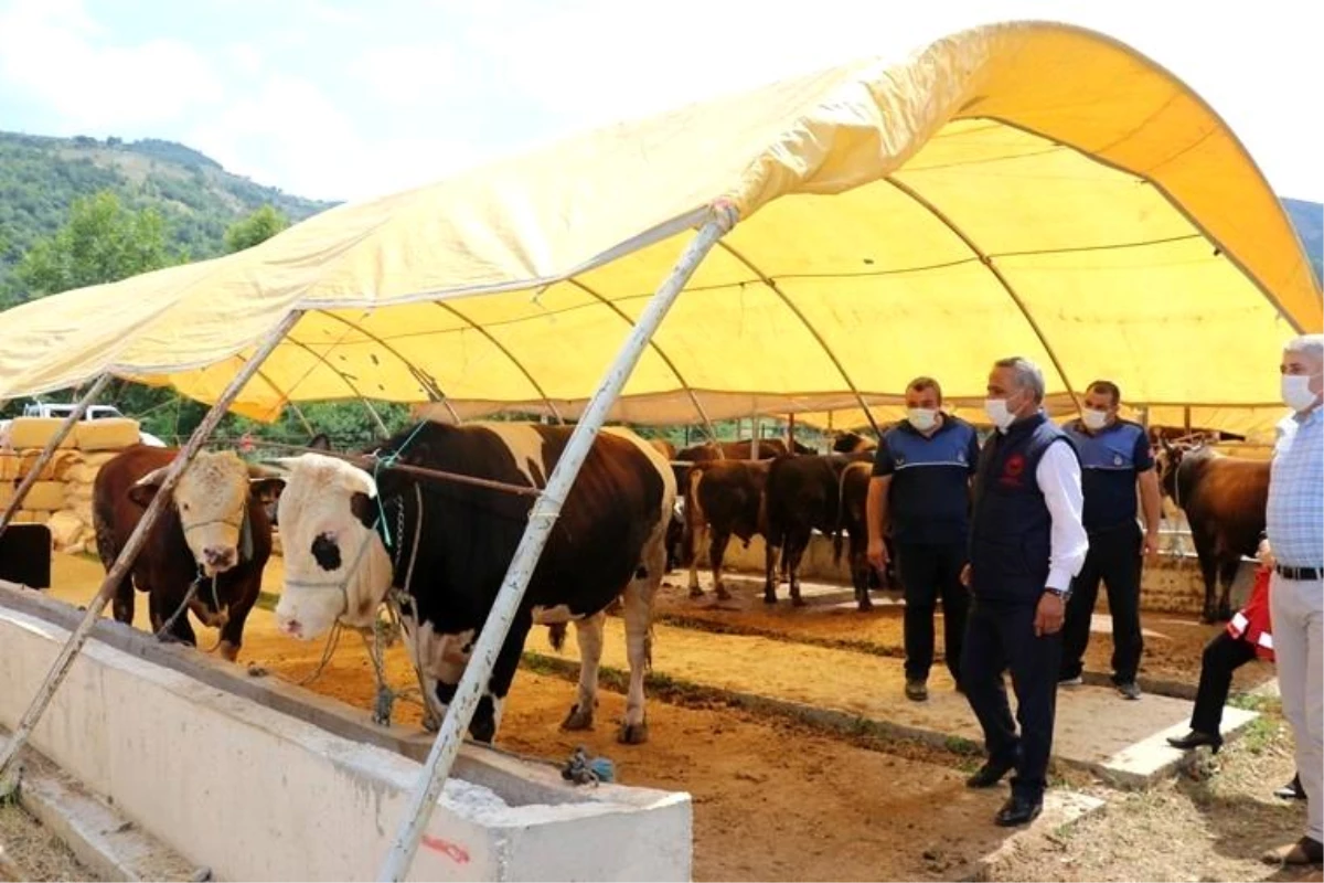 Kurbanlık hayvan alış, satış ve kesimlerinde dikkat edilecek hususlar