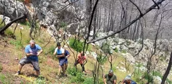 Marmarisli vatandaşlar yanan tepeye Türk Bayrağı dikti