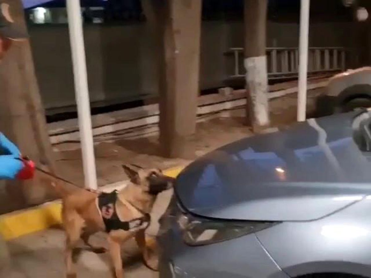 Sakarya\'da 2 ilçede uyuşturucu operasyonu: 5 gözaltı