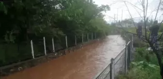 Selin gelişi böyle görüntülendi