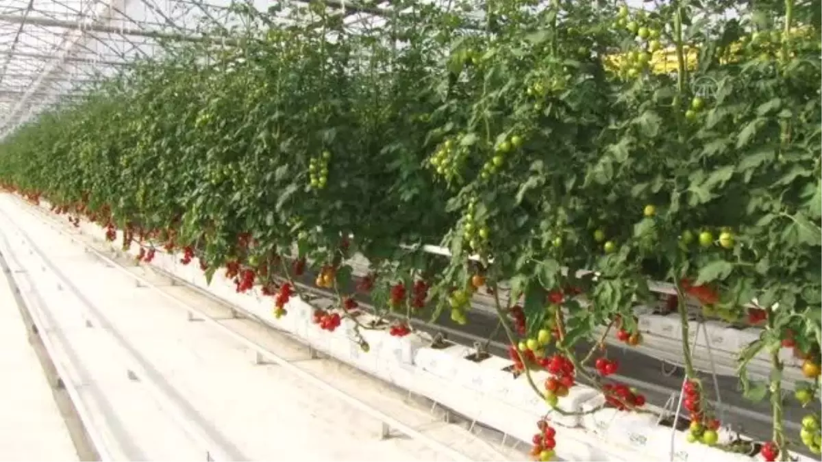 "Seracılık Mükemmeliyet Merkezi" tanıtım toplantısı yapıldı