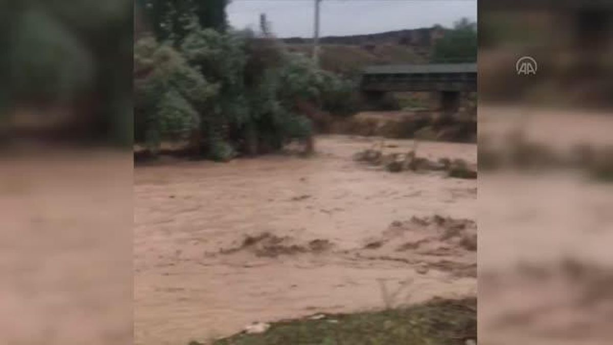Şiddetli yağış sele neden oldu