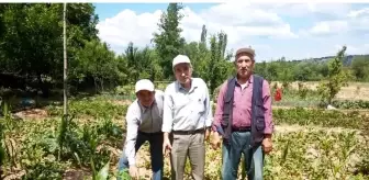 Simav'da sebze ve meyveler sağanak yağmur ve doludan zarar gördü