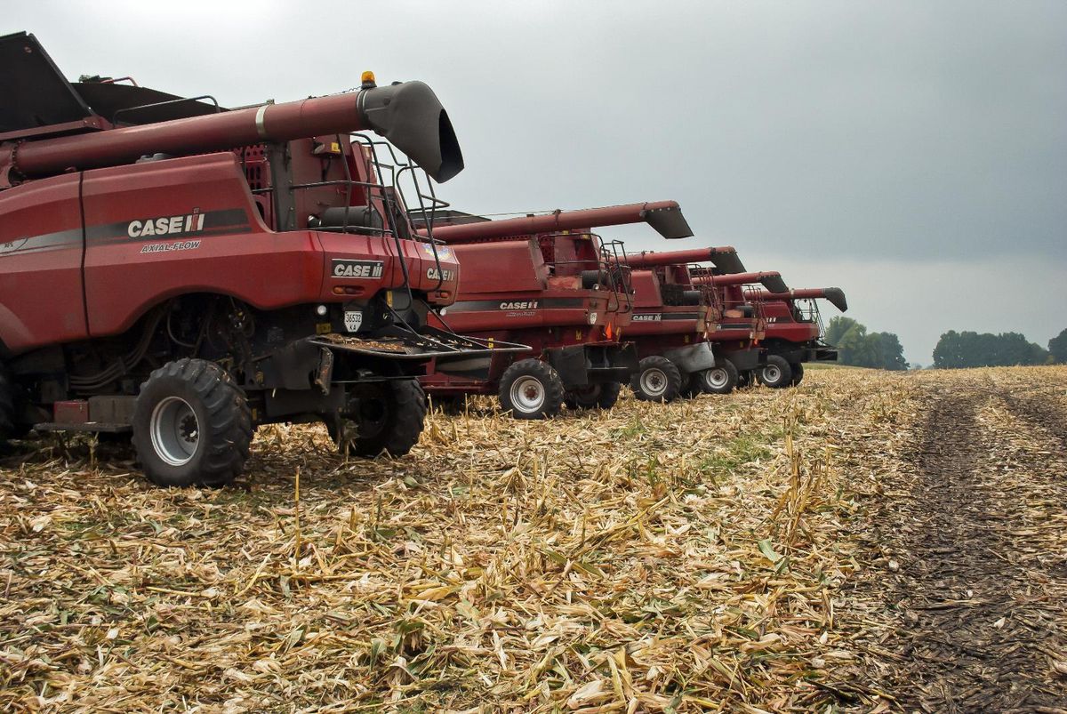 Ukrayna, ekilebilir tarım alanlarının yüzde 25'ini kaybetti