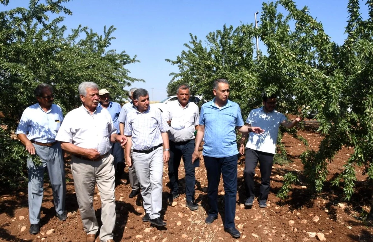 Adıyaman Valisi Mahmut Çuhadar fidanlıkta incelemelerde bulundu