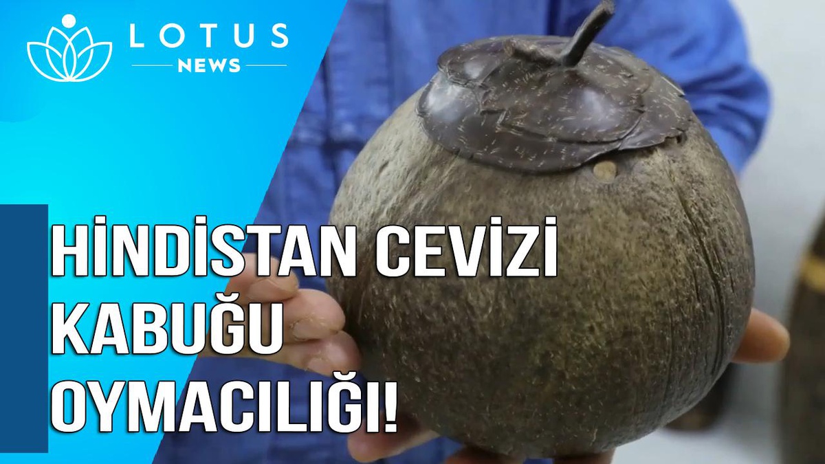 Video: Hindistan Cevizi Oymacılığı Köylülere Müreffeh Bir Hayat Sağlıyor