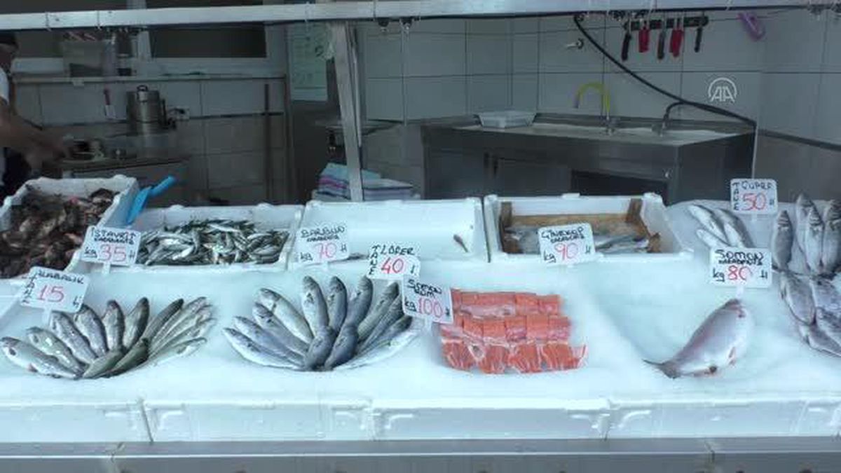 Balık tezgahları kıyı avcılığıyla boş kalmıyor