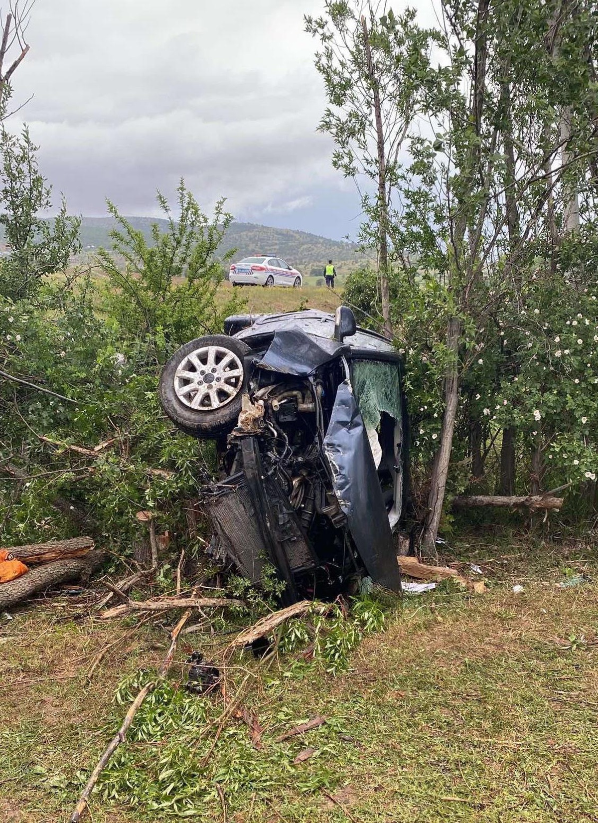Gümüşhane\'de ağaçlara çarpan otomobilin sürücüsü öldü