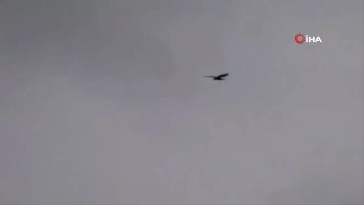 Halk Ozanı, jandarma için besteleyip söyledi